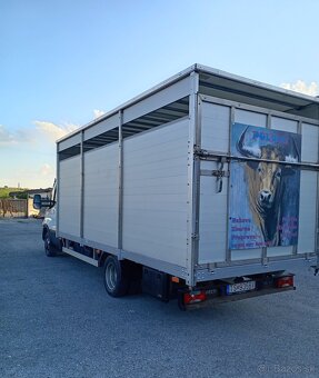 Iveco DAILY na prepravu zvierat - 2