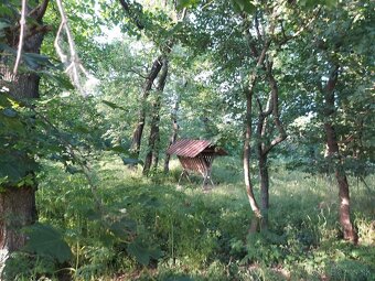 PREDAJ - investičný pozemok- 54600 m2- pri Senci - 2