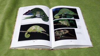 Chameleoni - Petr Nečas - 2
