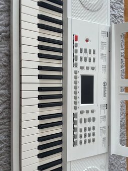 Keyboard Schubert Etude 61 MK II - 2