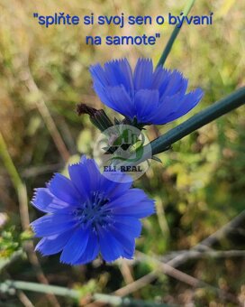 Na predaj pozemok Jozefova Pusta, Slanské Nové Mesto - 2