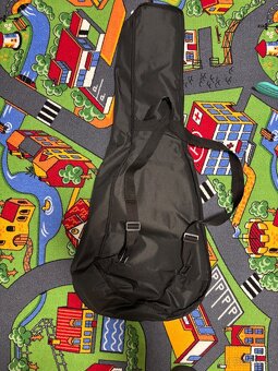 Puzdro na gitaru - 2