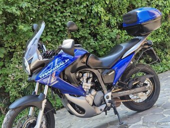 Honda XL 700 ie Transalp - 2