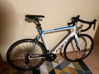 FOCUS Cayo XL - 2