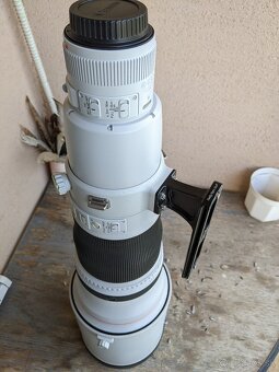 Canon 600mm mark II - 2