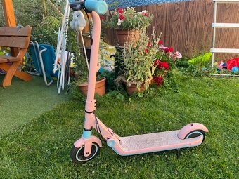 Segway eKickscooter ZING E8 - 2