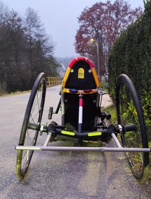 Shmicking Handbike - 2