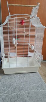 Klietky pre vtáky - 2