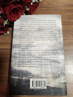 Jednosmerný lístok - 2