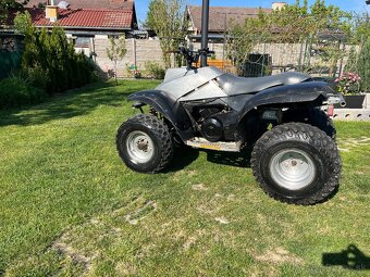 Polaris Blazer 250 2T Made in USA - 2