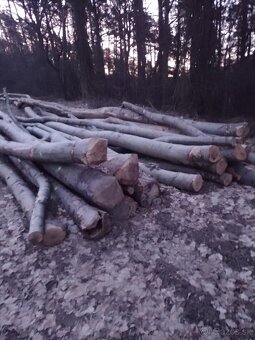 Palivové drevo - 2