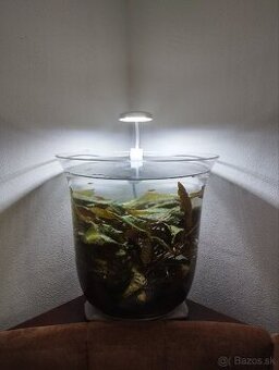 Bezúdržbové miny akvarium - 2