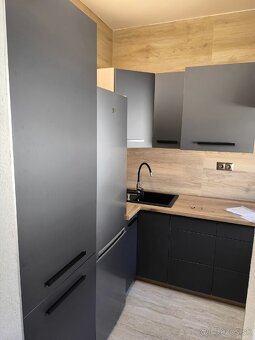 Prenájom 1 izbový byt - 2