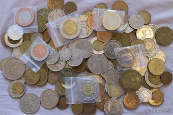 Mince mix Afrika - 2