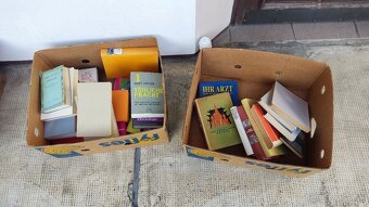 Rôzne knihy (encyklopédie, náučné cestopisne, romány ) - 2