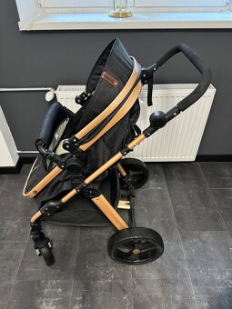 Kocik CHIPOLINO GOLD - 2