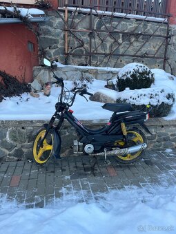 Predám Manet Korado - 2