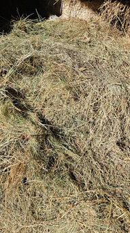 Seno, Slama - 2