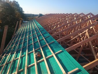 Tesár pokrývač - 2