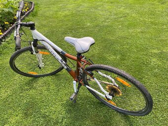 Bicykel dámsky Author - 2