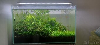Predám akvarium 60 litr, optiwhite - 2