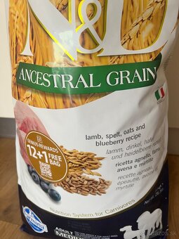 Granule pre psa - 2