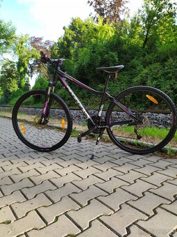 Prodám bicykle Roce Liv - 2