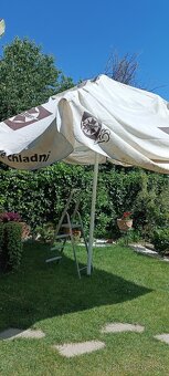 Slnečník - 2