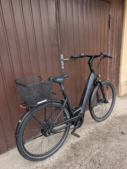 BOSCH Mammut E-Dition Nu Belt - 2