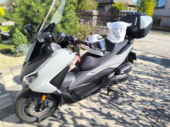 Honda Forza 125 - 2