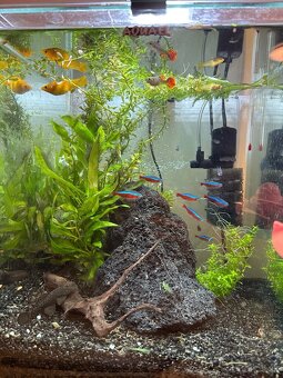 Akvárium 30 l, kompletná výbava, ako nové - 2