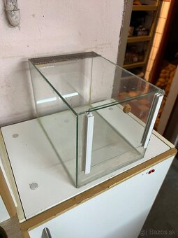 Terárium - 2
