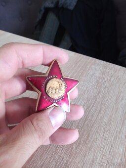 Partizánsky odznak.A.S.Jegorov.SNP.Odboj. - 2