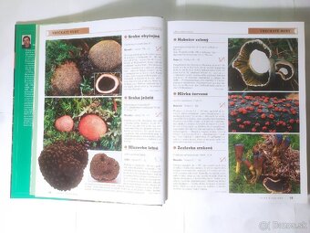 Veľký atlas húb - 2