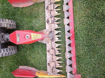 Vari listova kosacka - 2