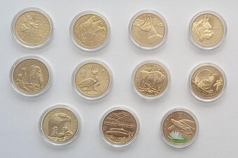 11x5 € - 2