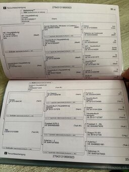 Predam hannoversku klisnu - 2