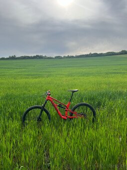 Canyon Spectral 5 - 2