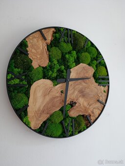 Machové hodiny OLIVA - 2