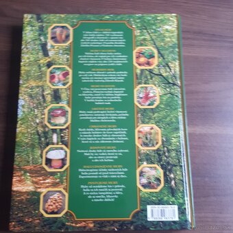 Huby veľká encyklopádia - 2