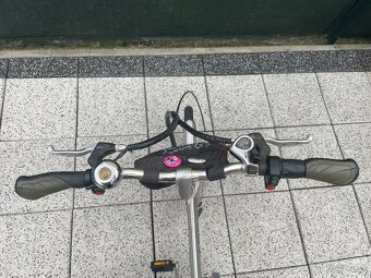 Bicykel AGOGS SilverGo - 2