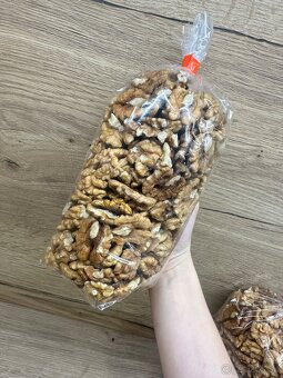 Orechy tohtoročné vlašské - 2