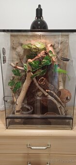 Pagekon riasnaty plus terarium - 2