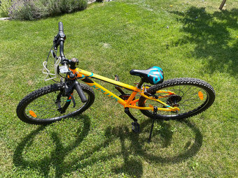 Kellys Kiter - 2