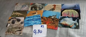 Animal Kingdom nálepky /NEW - 2