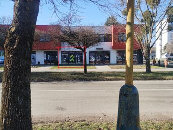 Prenajmem 53 m2 na prizemi Michalovce - 2
