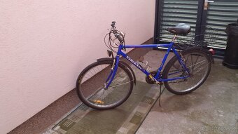 Pánsky bicykel Dema - 2