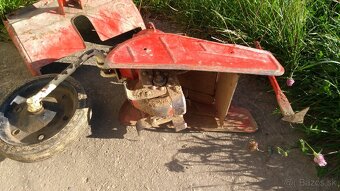 Medziriadkový kyprič Vari - 2