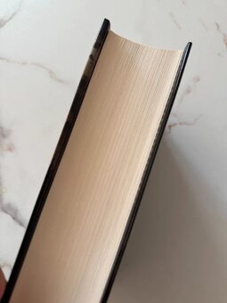 Pod kupolou - Stephen King - 2