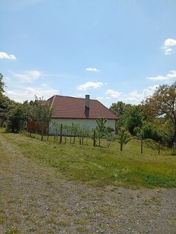 SILVESTER NA CHALUPE V KRUPINSKEJ PLANINE - 2